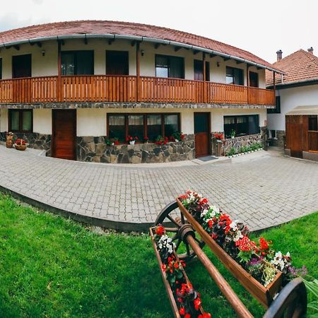 Hotel Gyöngyvirág Panzió Lupeni  Exterior foto